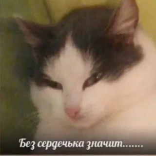 Sticker Галя в сердце краш - 4