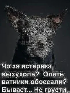 Стикер Блядей карёжит | @nazbolukr - 5