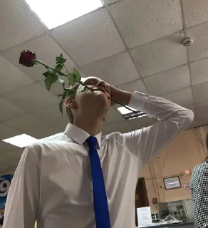 Sticker НеГеи ✨ - 6