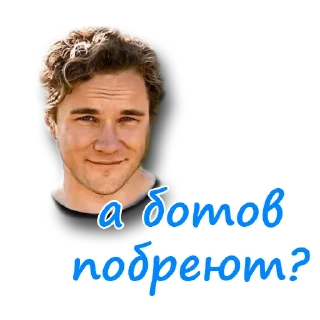 Sticker Notcoin&Bekar - 4