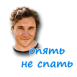 Sticker Notcoin&Bekar - 11