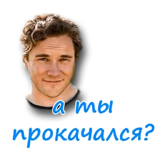 Sticker Notcoin&Bekar - 0