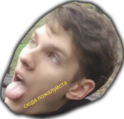 Sticker Мы не лохи. - 11