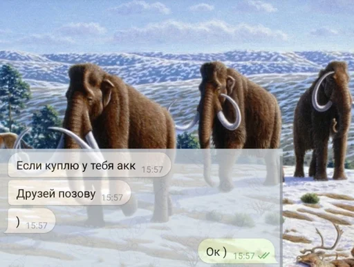 животное млекопитающее слон