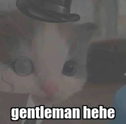 small to medium-sized cats text felidae