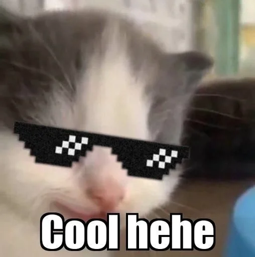 СМС кошка кошки малого и среднего размера