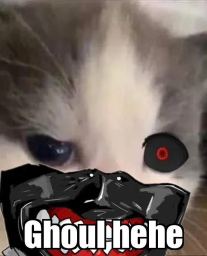 text small to medium-sized cats felidae