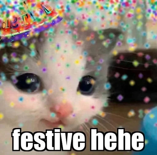 small to medium-sized cats mammal animal