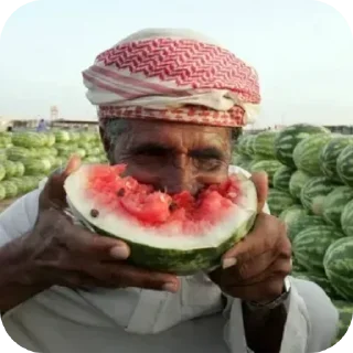 Sticker Nouneyms - 4