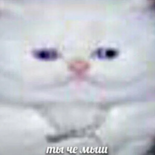 Хуйня от @NovaTip - 