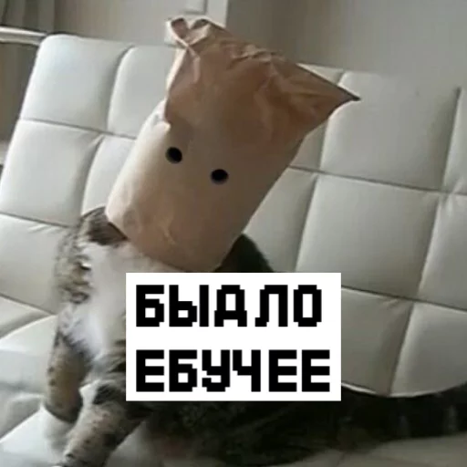 Sticker Хуйня от @NovaTip - 0