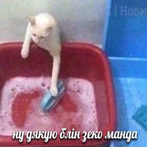 bathtub text bathroom