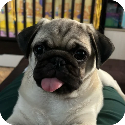 Стикер Novyj597 - 1