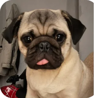 Sticker Новый - 7