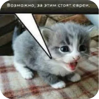 Sticker Новый набор Придумайте название для набора. - 11