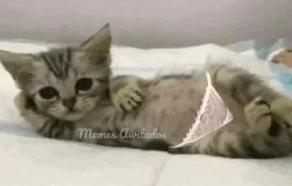 Sticker Больше стиков тут: @stikery4 - 11