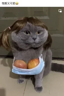 Sticker Больше стиков тут: @stikery4 - 4