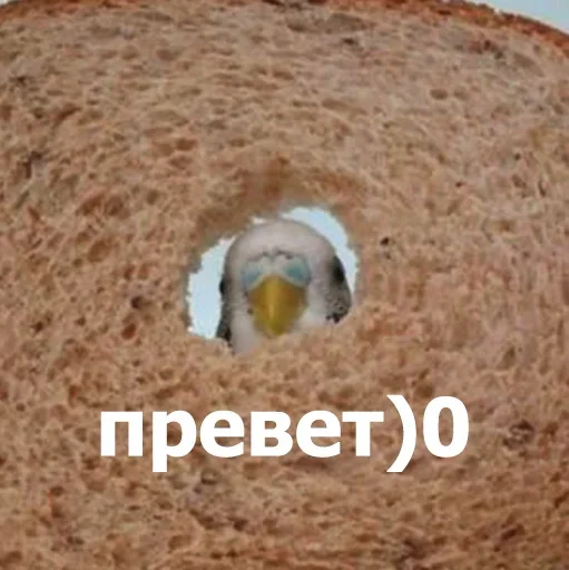 Sticker NrcxvawFvjqKalA_by_stickers_stealer_bot - 1