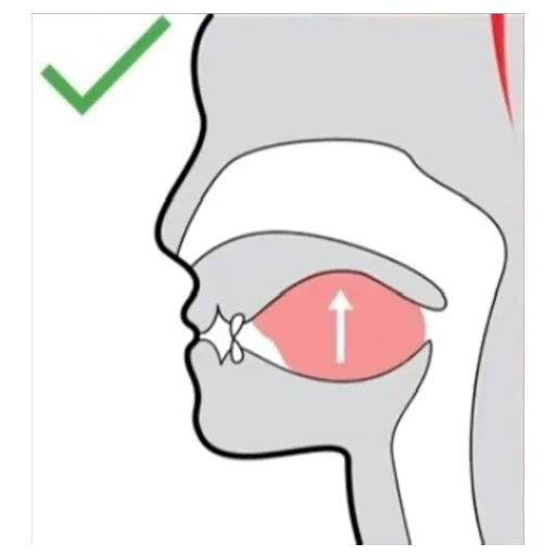 Стикер NuDaYa769 - 1