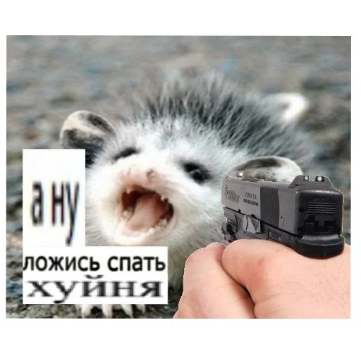 Sticker NuDavaj4 - 1