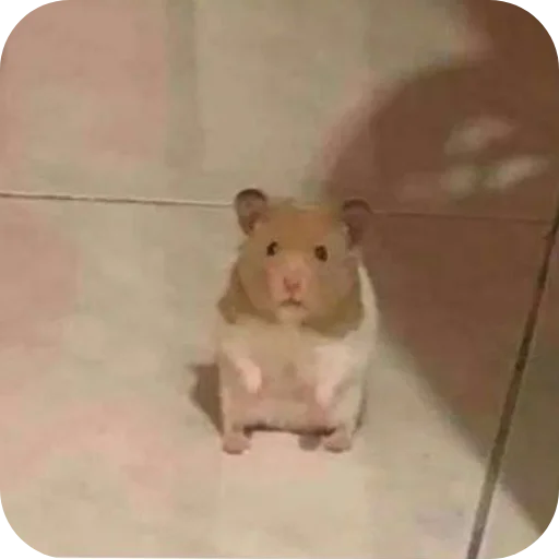 Стикер NuDavaj4 - 1