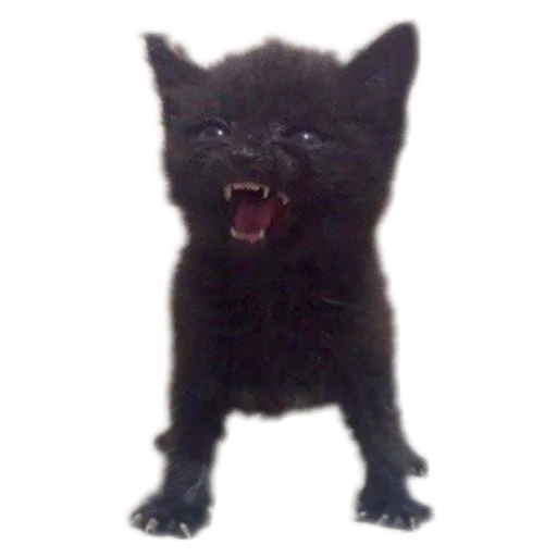 Стикер NuDavaj4 - 1