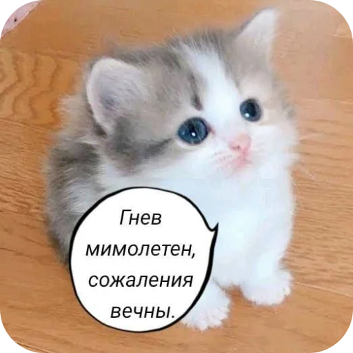 Стикер NuDavaj4 - 1