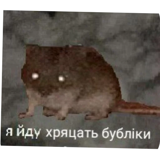 Sticker NuDavaj4 - 1