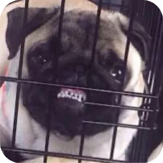 Sticker ? ???  ?? Ну давай - 10