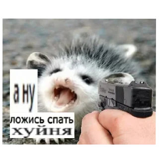 Sticker ? ???  ?? Ну давай - 1