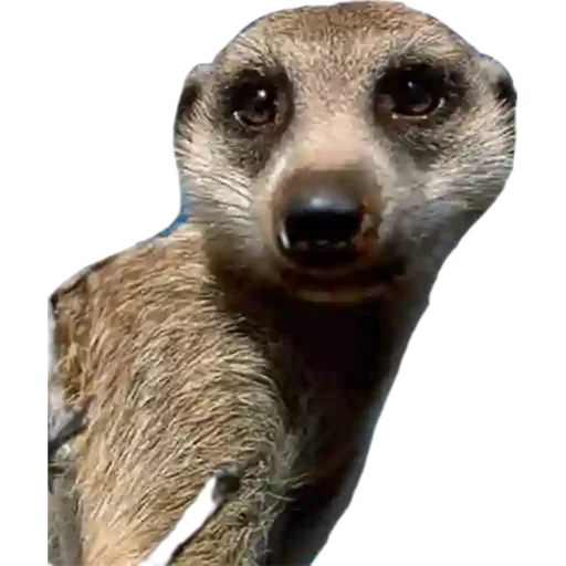 Sticker Ну, ладно - 2