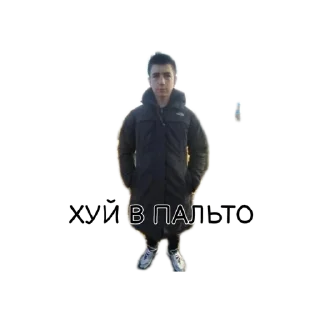 Sticker Ну педики - 0