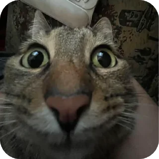 Стикер Ну я - 9