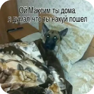 Стикер Ну я - 7