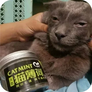 Стикер Ну я - 1