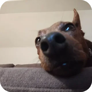 Стикер Ну я - 2