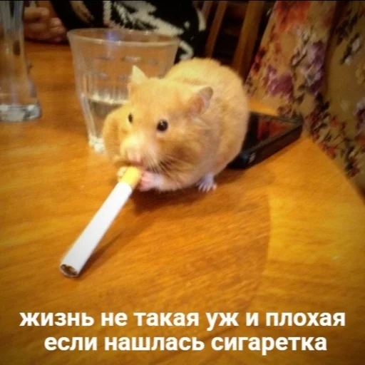 Стикер Nu_i_huinia - 1