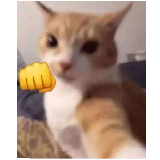 Sticker Nuladno749 - 1