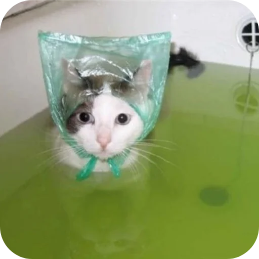 Sticker Nuladno749 - 1