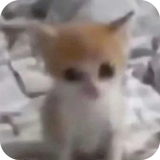 Sticker Nuladno749 - 1