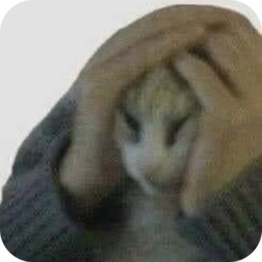 Sticker Nuladno749 - 1