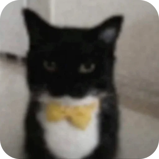 Sticker Nuladno749 - 1