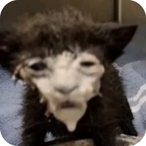 Sticker Nuladno749 - 1