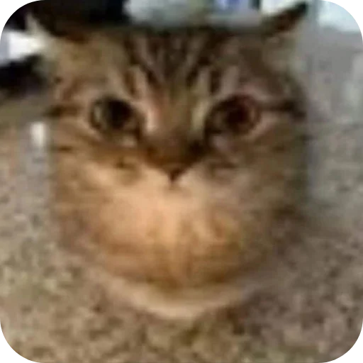 Sticker Nuladno749 - 1