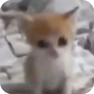 Стикер Nuladno - 6