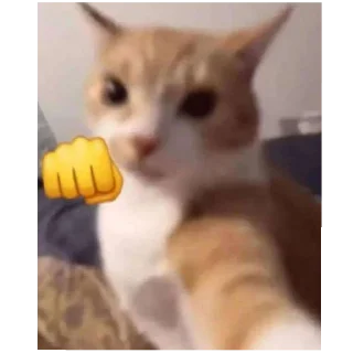 Стикер Nuladno - 11