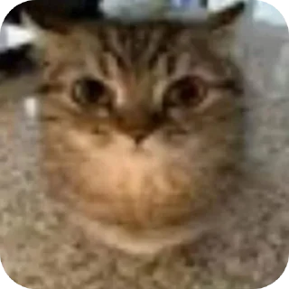 Стикер Nuladno - 0