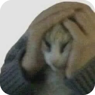 Стикер Nuladno - 5