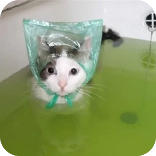 Стикер Nuladno - 7