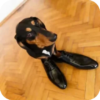 Sticker Нупон - 3